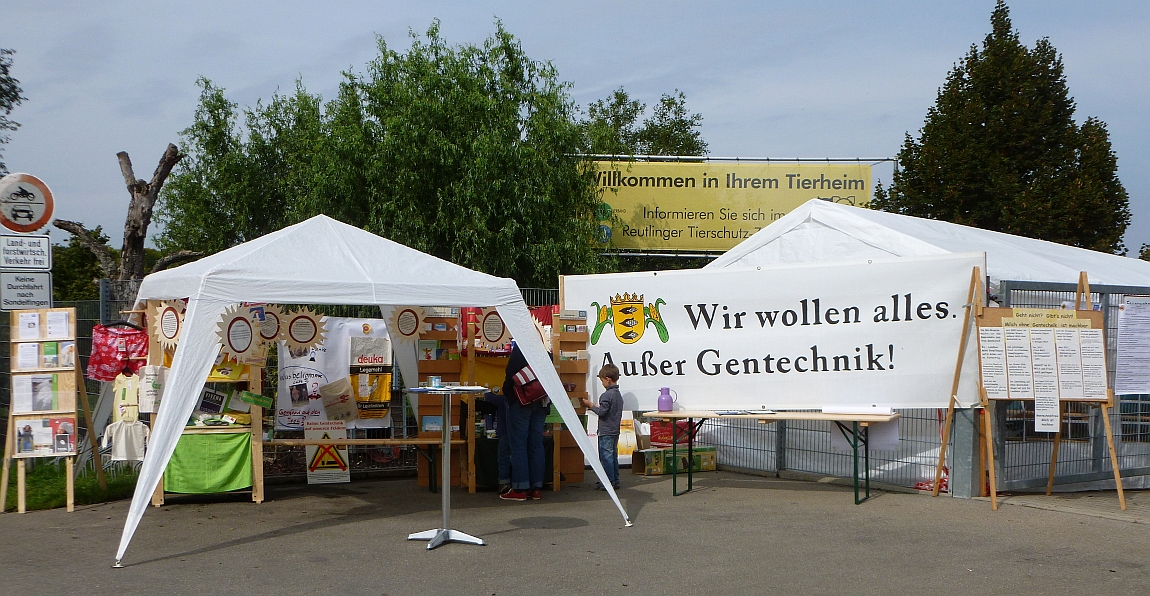 Herbstfest Tierheim